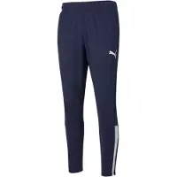 Puma Teamliga Training Pants Bleu S Homme