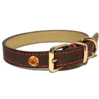 Rosewood Collier En Cuir Marron, 25,4 À 35,6 Cm Pour Chien
