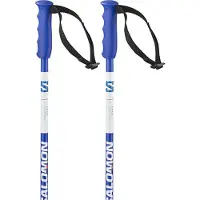 Salomon S/race Junior Poles Bleu 90 cm Enfants