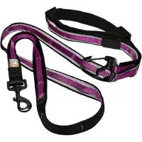 Kurgo Sangle Kurgo Quantum Violet en Nylon