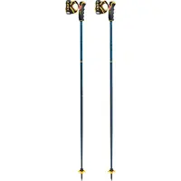 LEKI Spitfire 3d Poles Bleu 115 cm
