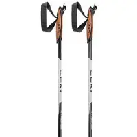 LEKI Xta Base Poles Argenté 155 cm