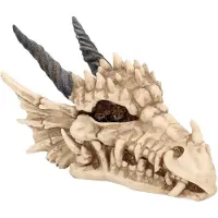 Nemesis Now Articles De Décoration Gothic de - Boîte Dragon Skull - pour Indifférent - Standard - Taille Standard