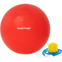 Tunturi 55 Cm Fitball Bleu 55 cm