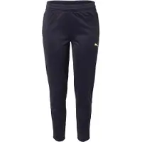 Puma Pantalon Individualliga 65805547