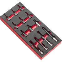 Facom Schaumstoffmod. 13x Torx Stecks. 1/2Z