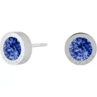 Tommy Hilfiger Stylové ocelové náušnice pecky Iconic Circle 2780661