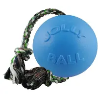 Jolly Pets - Ball Romp-N-Roll 15cm Baby Blue (Blue Berry Smell) - (Jo