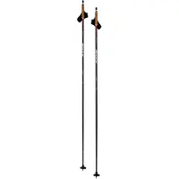 Swix Bâtons Dynamic D1