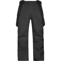 Protest Miikka Pants Gris 2XL / Short Homme