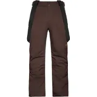 Protest Miikka Pants Marron M / Regular Homme