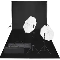 vidaXL Kit de studio photo avec éclairage et toile de fond