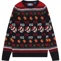 Jack & Jones Jorhoho Knit Sweatshirt Bleu 12 Years Garçon