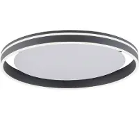 Paul Neuhaus 8416-13 Q-VITO Smart Home Deckenleuchte anthrazit 39 W