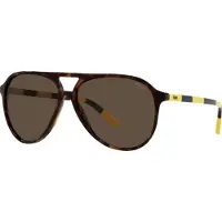 Ralph Lauren Lunettes de soleil - Polo - PH4173 - Shiny Dark Havana