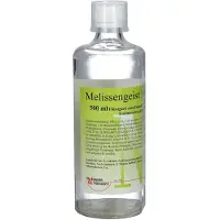 Hofmann & Sommer Liqueur de mélisse H Hofmann's, pour favoriser la digestion, solution de 500 ml