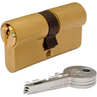 Ifam Brass F5s30lc 30+ Profile Cylinder With 3 Short Keys 60 Mm 30 Mm Doré