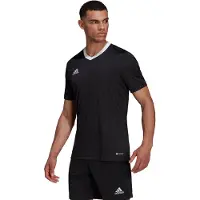 Adidas T-Shirt fonctionnel 'Entrada 22' noir / blanc