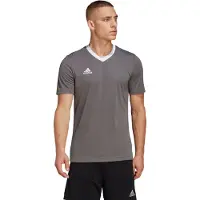 Adidas T-Shirt fonctionnel 'Entrada 22' gris clair / blanc