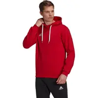 Adidas Entrada 22 Hoodie Rouge S / Regular Homme