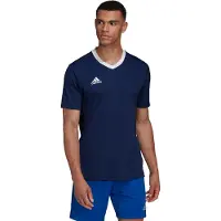 Adidas T-Shirt fonctionnel 'Entrada 22'