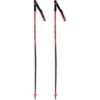 Rossignol Hero Gs-sg Poles Orange 135 cm