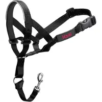 Halti Training Collar Noir 31-40 cm