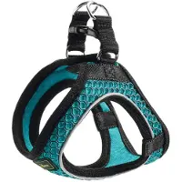 Hunter harnais Hilo Comfort, couleur:turquoise, tailles:XXS