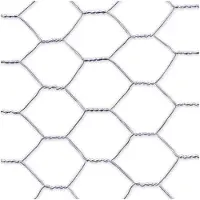 Nortene Grillage métal galvanisé triple torsion 1,9cm - 0,5 x 10m