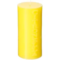 Atmosphera BOUGIE CITRONNELLE CYLINDRIQUE 15CM