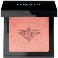 Stendhal Blush 300 Highlighting Blush Rose Femme