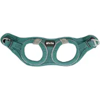 Gloria Harnais pour chien Air Mesh Trek Star Réglable Turquoise (18-20 cm)