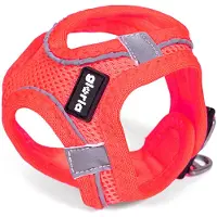 Gloria Harnais pour chien Air Mesh Star Rosa Taille XXS (24-26 cm)