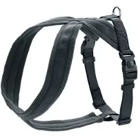 Hunter Harnais London Comfort, Taille:XS-S, Couleur:anthracite