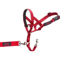 Sublime Market Connect Halti Training Collar Rouge 31-40 cm