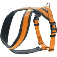 Hunter Harnais London Comfort, Taille:M, Couleur:orange