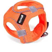 Gloria Air Mesh Trek Star Hundegeschirr L L