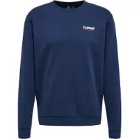 Hummel Sweat de sport 'Austin' bleu marine / rouge / blanc
