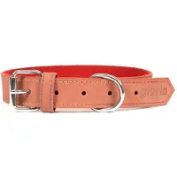 Gloria Oasis Dog Collar Rouge 70 x 3 cm