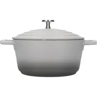 Masterclass 2.5l Stewpot Argenté