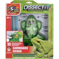 Martinex Slimy Lab dissect-it Kit de dissection anatomique pour enfants Grenouille 6+