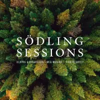 Sonic Sodling Sessions [Cd]