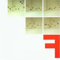 Konkurrent F.