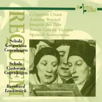 Music&Words Requiem : Baumel, Josquin, Victoria, Anonymes Du Xviè Siecle Schola Gregoriana & Cantorum De Copenhague