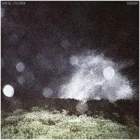 Konkurrent Mikal Cronin - Seeker [Vinyl] Black, Gatefold Lp Jacket, Digital Download