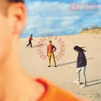 Konkurrent Nap Eyes - Snapshot Of A Beginner (Color Vinyl) (Coke Bottle) [Vinyl] Clear Viny