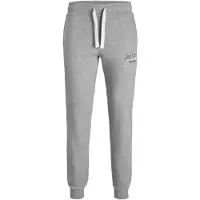 Jack & Jones Gordon Sweat Pants Gris 2XL Homme