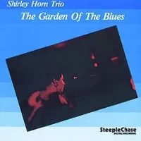 Sonic The Garden Of The Blues