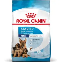 Royal Canin Maxi Starter Mother & Babydog 4 kg