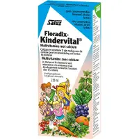Floradix Kindervital Elixir 250 ml Élixir
